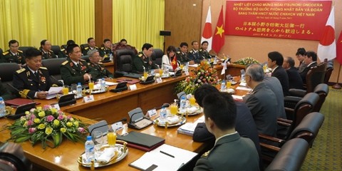 Vietnam y Japón estrechan cooperación militar - ảnh 1