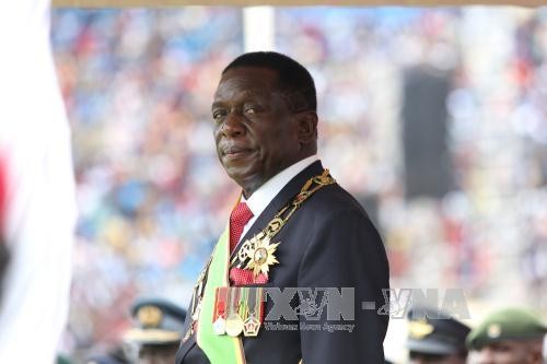 Nuevo presidente de Zimbabue disuelve su gabinete - ảnh 1