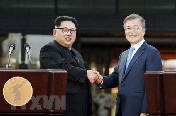 Corea del Sur y Rusia apoyan a la cooperación tripartita con Corea del Norte - ảnh 1