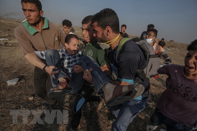 La ONU aprueba resolución frente al uso de la fuerza de Israel contra los palestinos - ảnh 1