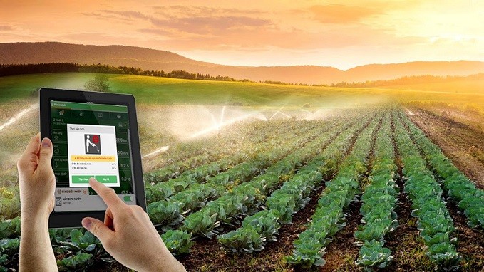 Vietnam por fortalecer la aplicación de la ciencia-tecnología en el desarrollo agrícola - ảnh 1