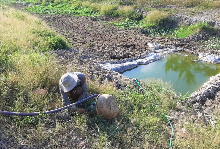 La sequía devasta la región meridional de Vietnam - ảnh 8