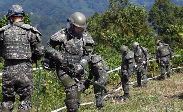 Las dos Coreas violan acuerdo de armisticio en la zona desmilitarizada - ảnh 1