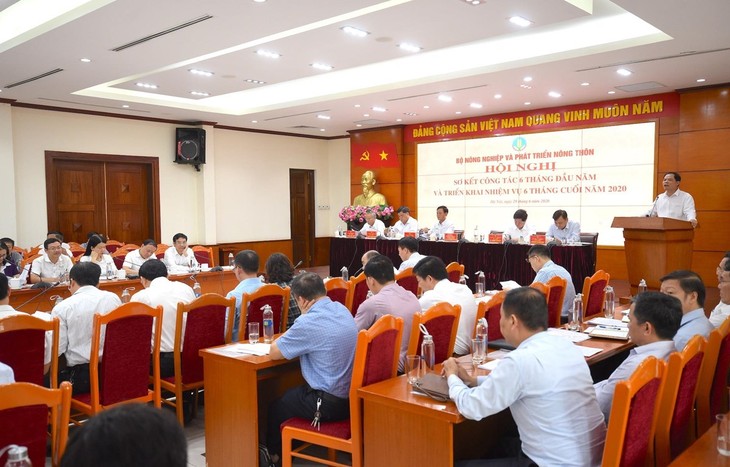 Sector agrícola de Vietnam mantiene objetivo de crecimiento en 2020 - ảnh 1