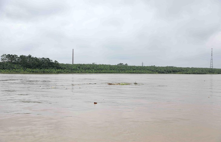 VNREDSat-1 ayuda a recopilar datos sobre partículas en suspensión en las aguas costeras - ảnh 1