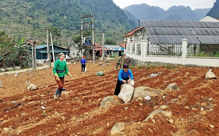 Resaltan el papel de los militantes del Partido Comunista en el cumplimiento de tareas de Vietnam - ảnh 1