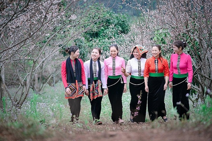 Descubrir la Zona Turística Nacional de Moc Chau - ảnh 2