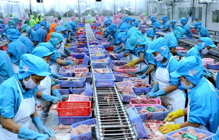 Vietnam busca convertirse en un centro mundial de procesamiento de productos acuícolas en 2030 - ảnh 1