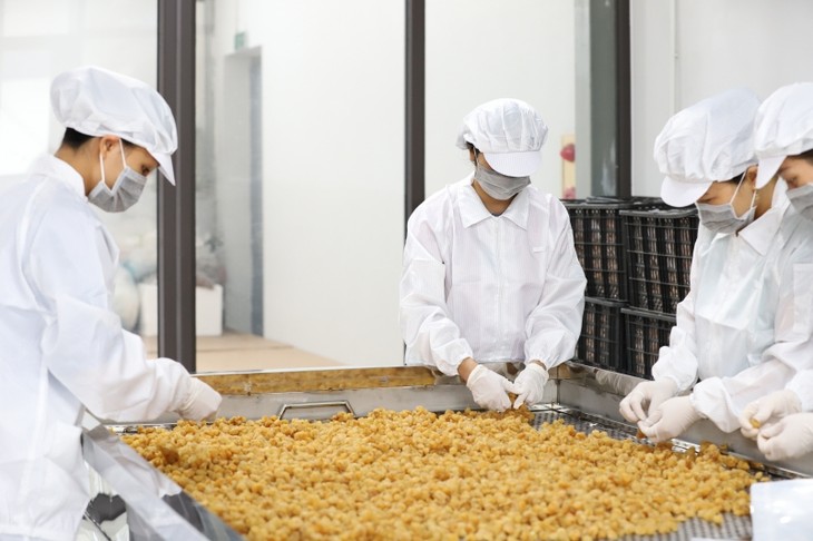 La provincia norteña de Son La busca construir su marca de longan pese a la pandemia - ảnh 2