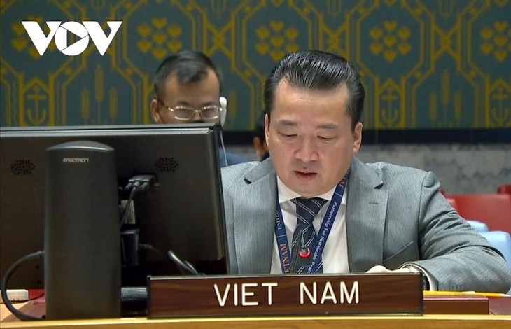 Vietnam apoya medidas más contundentes de prevención y solución de conflictos - ảnh 1