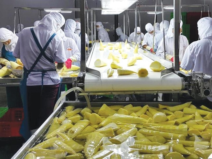 Vietnam es una gran fuente de productos agrícolas y alimentos procesados en el mundo - ảnh 1