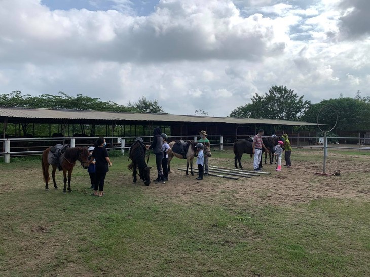 Hanoi Pony Club, un destino ideal para los amantes de los caballos - ảnh 2