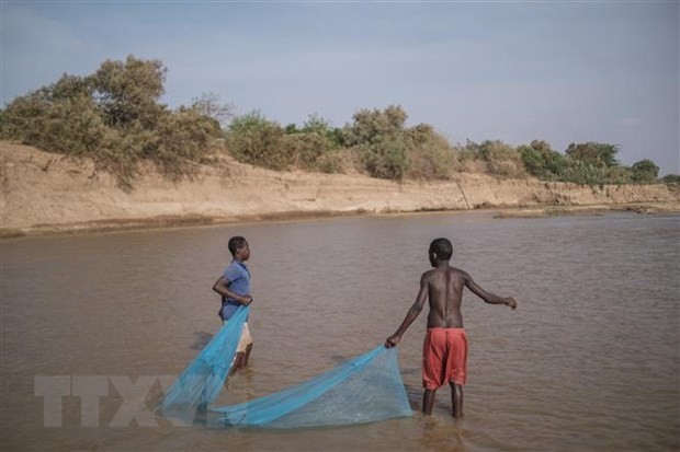 Japón invertirá 30 mil millones de dólares en África en los próximos tres años - ảnh 1