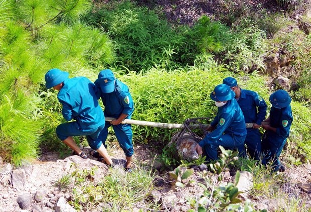 RENEW llama a recaudar fondos para actividades de remoción de minas - ảnh 1