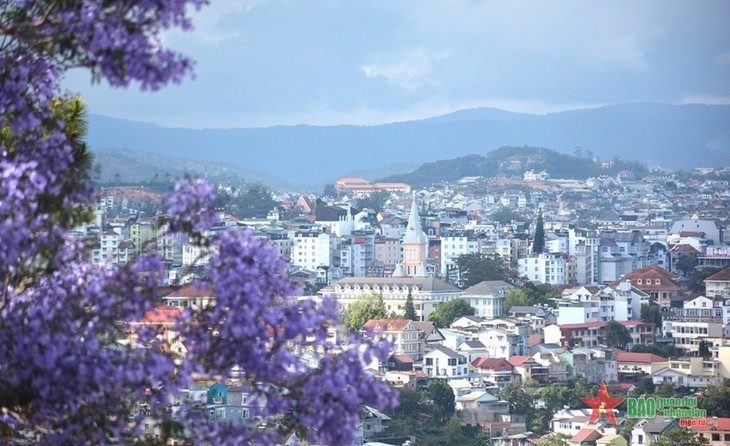 Da Lat aspira a ser miembro de la Red de Ciudades Creativas de la UNESCO - ảnh 1