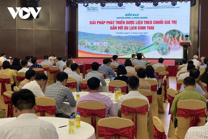 Vietnam busca promover el valor de hierbas medicinales en el ecoturismo - ảnh 1