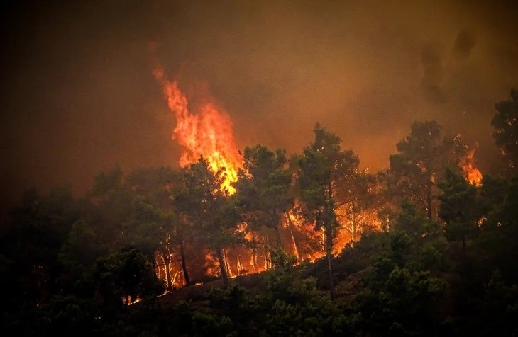 UE pide intensificar ayuda humanitaria para poder responder a desastres naturales - ảnh 1