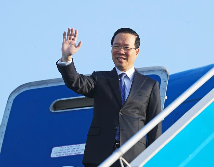 Presidente de Vietnam realizará una visita oficial a Japón - ảnh 1