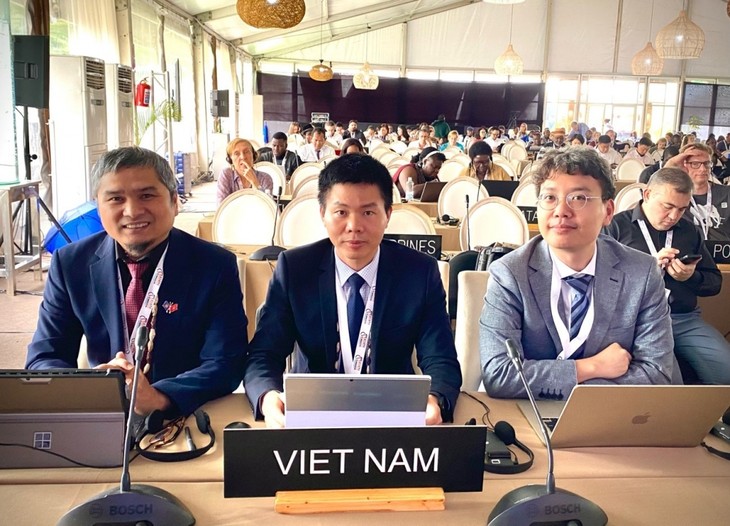 Vietnam  elegido vicepresidente del Comité de UNESCO para la Salvaguardia del Patrimonio Cultural Inmaterial - ảnh 1