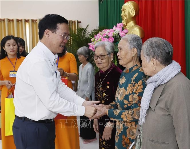 Presidente de Vietnam realiza visita a Vinh Long por el Año Nuevo Lunar - ảnh 1