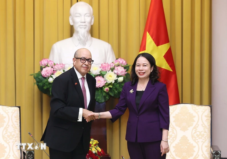 Vietnam concede importancia a impulso de relaciones de amistad y cooperación con Marruecos - ảnh 2