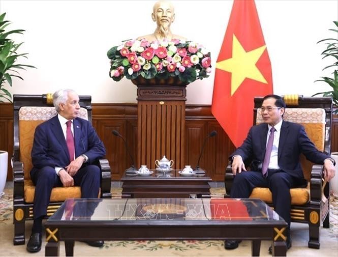 Vietnam y Qatar promueven cooperación multifacética  - ảnh 1