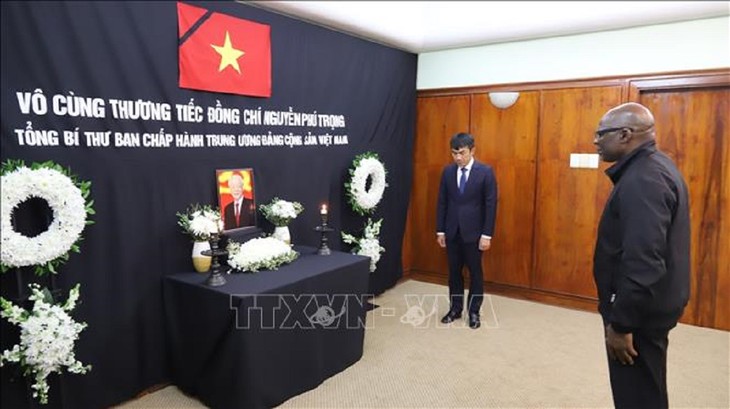 Celebran en el exterior actos en homenaje al​ secretario general Nguyen Phu Trong - ảnh 2