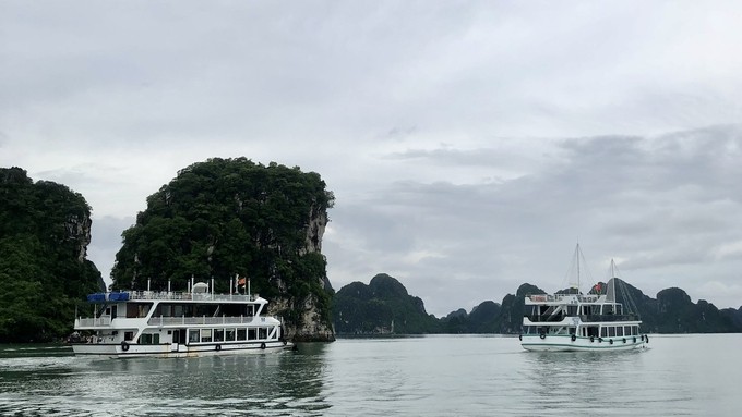 Ciudad de Ha Long reanuda actividad turística tras paso de Yagi - ảnh 1