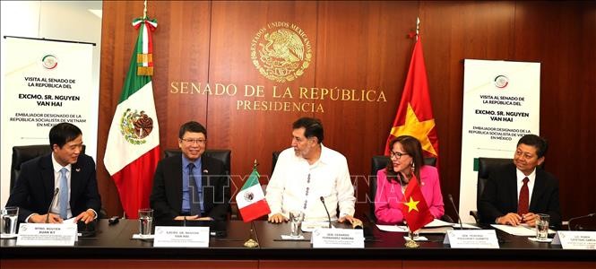 Vietnam y México avanzan hacia el 50.° aniversario del establecimiento de relaciones diplomáticas  - ảnh 1