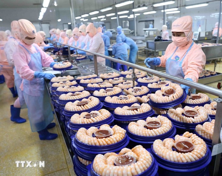 Exportación de productos pesqueros en Vietnam superará el objetivo de 10 mil millones de dólares este año  - ảnh 1