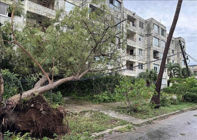 UE apoya a Cuba en superación de consecuencias de desastres naturales - ảnh 1