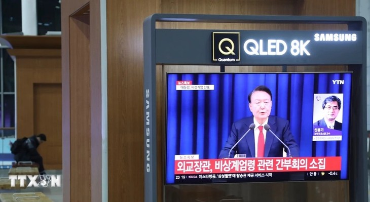 Aumentan tensiones políticas en Corea del Sur - ảnh 1