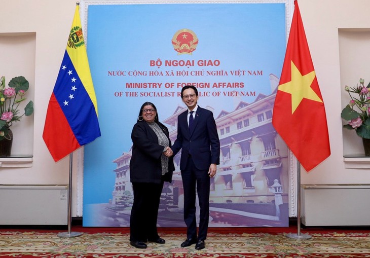 Celebran la X Consulta Política a nivel de cancilleres entre Vietnam y Venezuela - ảnh 1