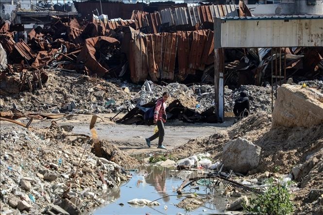 Israel acepta un alto el fuego temporal en Gaza durante Ramadán y Pascua - ảnh 1