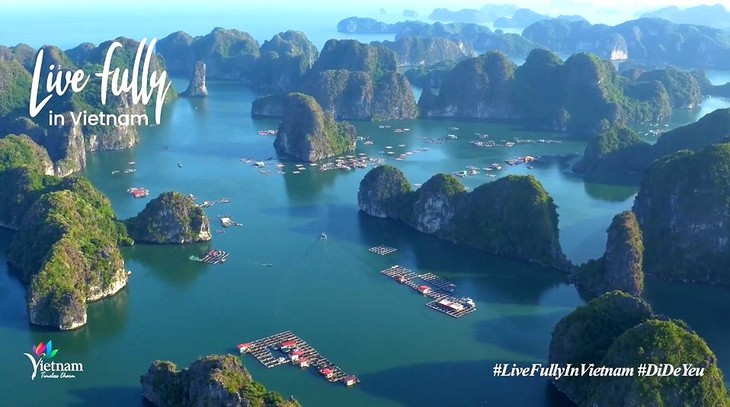 Vietnam impulsa el turismo a través de YouTube - ảnh 1