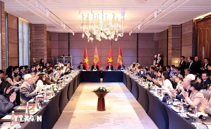 Vietnam y Kirguistán fortalecen la cooperación comercial y de inversión - ảnh 1