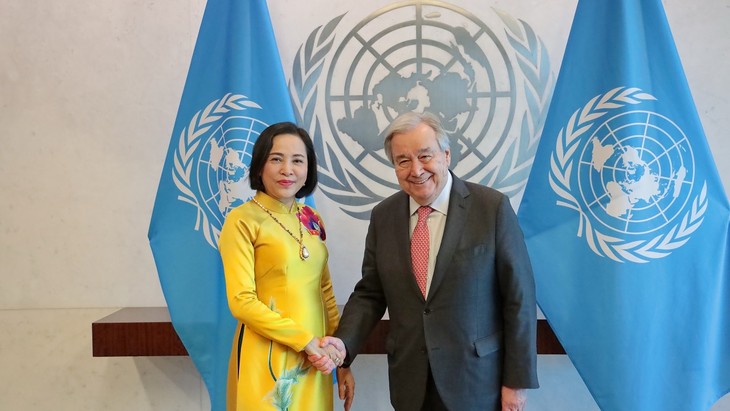 Vietnam reafirma su apoyo al papel central de la ONU en la coordinación de los esfuerzos globales - ảnh 1