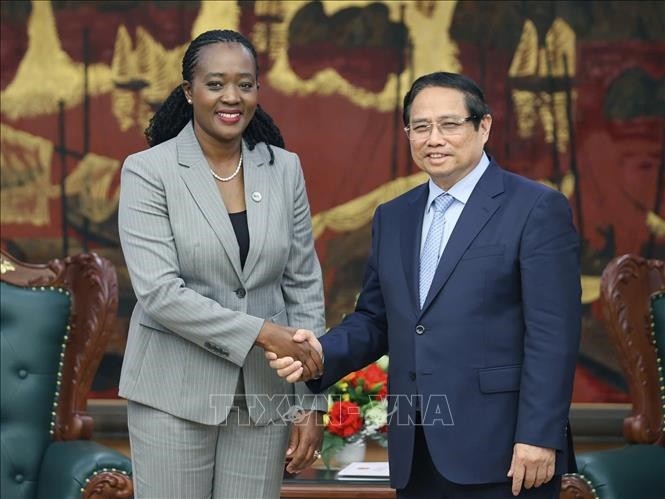 Vietnam y Kenia aún cuentan con amplias oportunidades de cooperación - ảnh 1