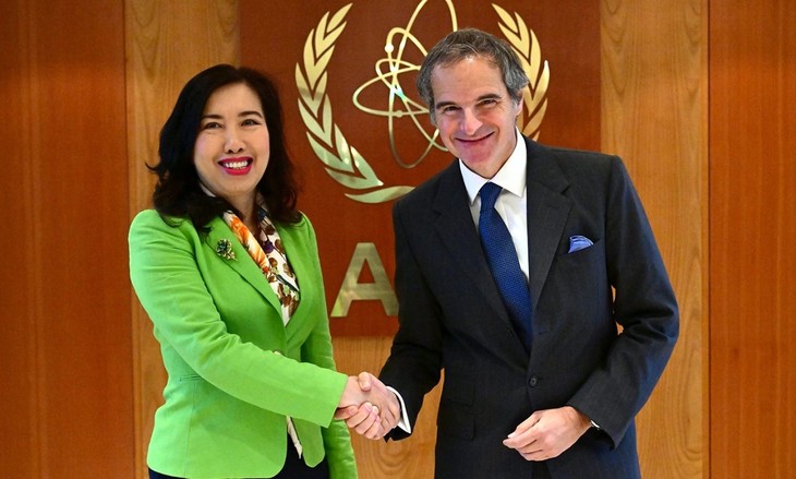 Vietnam participa en el 34.º período de sesiones de la Comisión de Prevención del Delito y Justicia Penal - ảnh 2