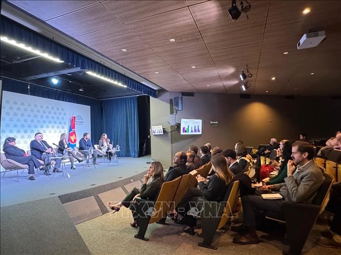 La ASEAN, socio estratégico de la Argentina - ảnh 1