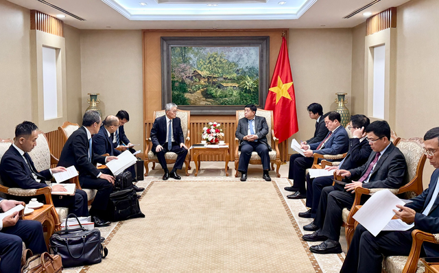 Vietnam da la bienvenida a inversiones japonesas en energía de biomasa - ảnh 1