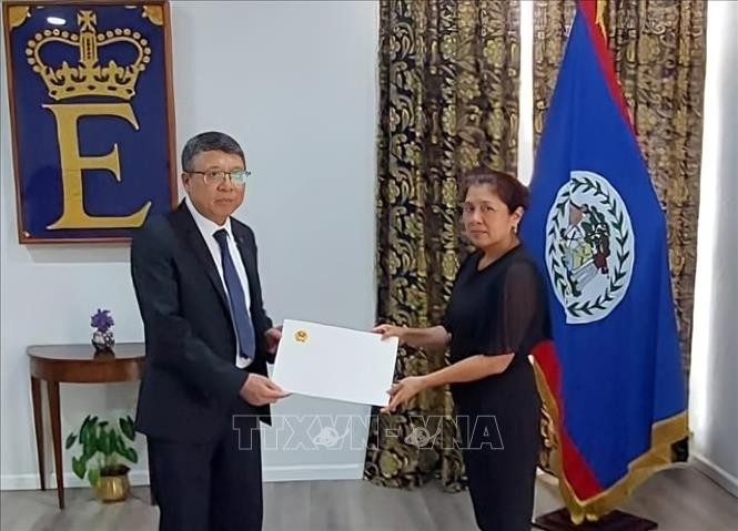 Vietnam y Belice refuerzan su respaldo mutuo en foros multilaterales - ảnh 1