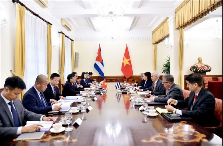 VIII Consulta Política entre Vietnam y Cuba impulsa su amistad especial y cooperación integral - ảnh 1