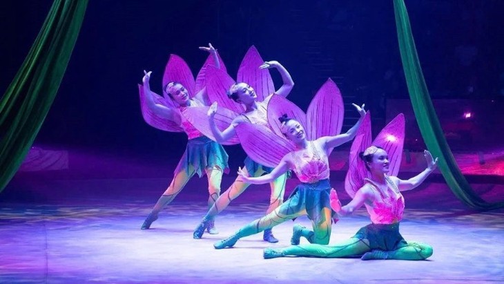 El circo vietnamita gana importantes premios internacionales - ảnh 1