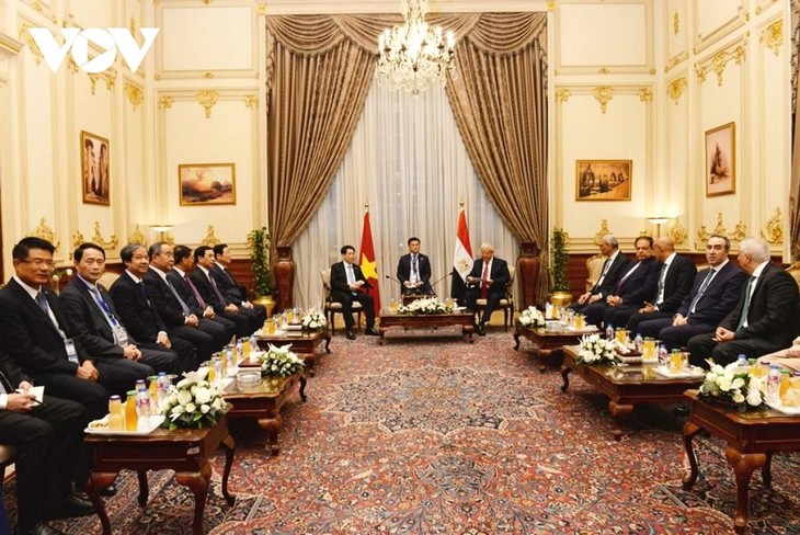 Presidente de Vietnam dialoga con el titular de la Cámara de Representantes de Egipto - ảnh 1