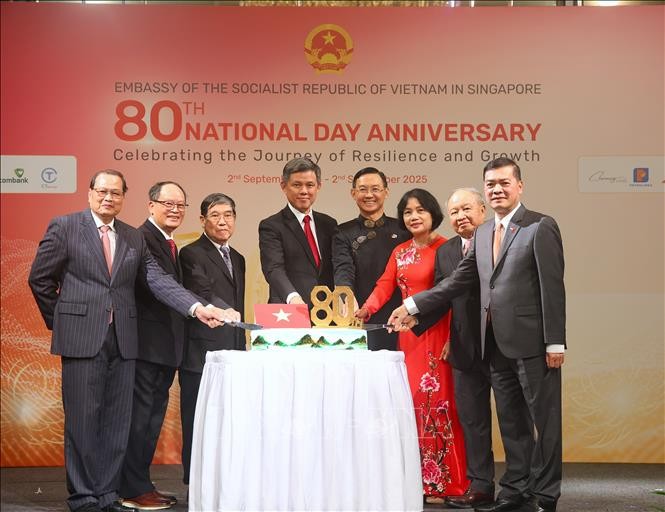 Actividades conmemorativas marcan el 80.º aniversario de la Revolución de Agosto y el Día Nacional de Vietnam - ảnh 1