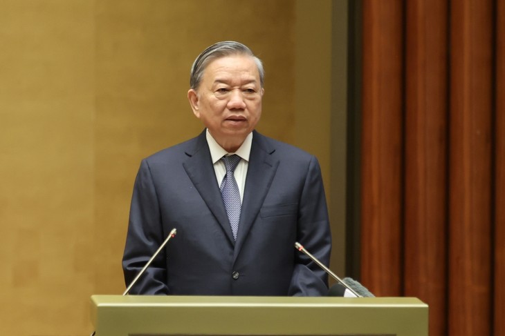 Vietnam impulsa la implementación de cuatro Resoluciones clave para un desarrollo sostenible - ảnh 2