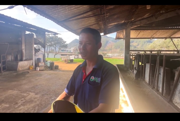 El legado de Cuba en las praderas de Moc Chau - ảnh 4