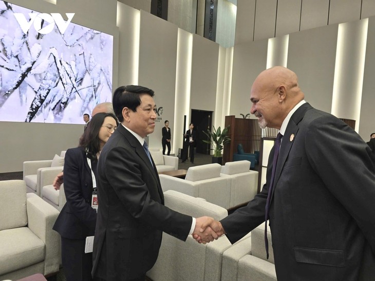 Presidente de Vietnam se reúne con líderes de economías de APEC - ảnh 1