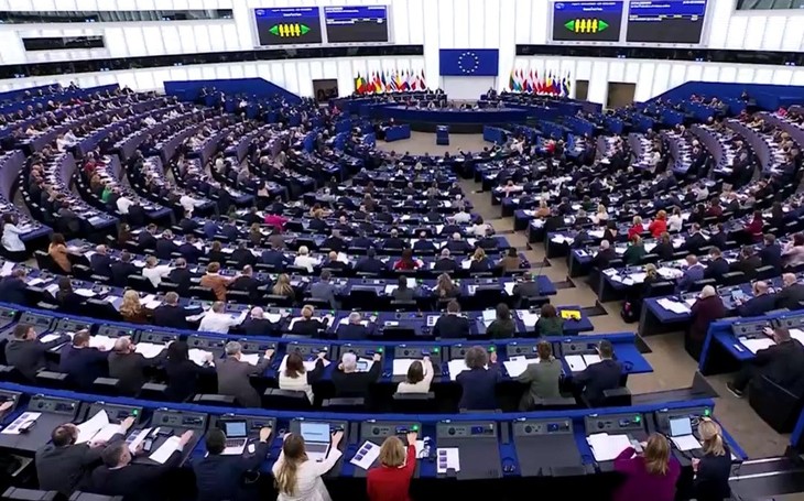 Parlamento Europeo aprueba una resolución sobre la edad mínima para el uso de redes sociales - ảnh 1